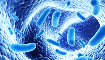Colony of pathogen bacterias – 3d render