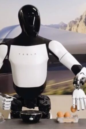 Tesla 人形機械人手部細節展示,展示其左右手的不同功能.