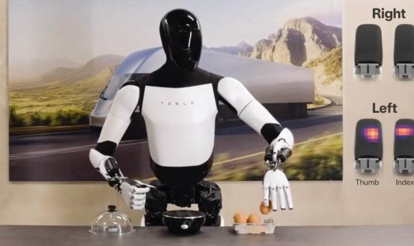 Tesla 人形機械人手部細節展示,展示其左右手的不同功能.